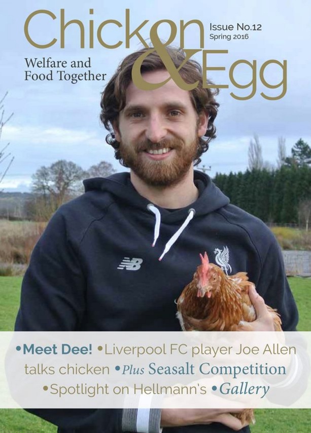 Joe Allen Chicken & Egg