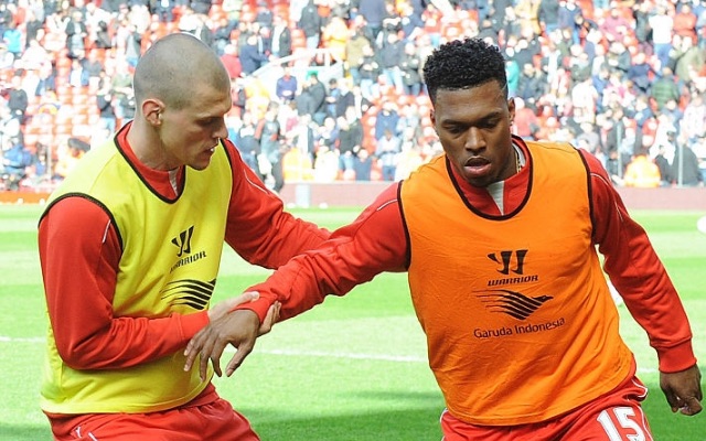 Martin Skrtel and Daniel Sturridge
