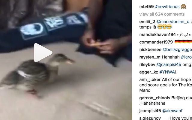 Mario Balotelli Ducks