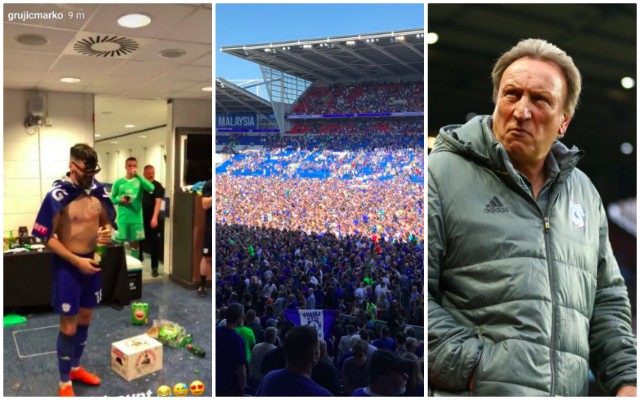 Grujic, Cardiff