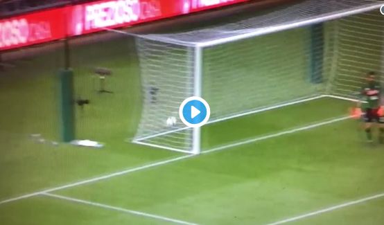 milner goal video