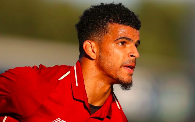 Dominic Solanke