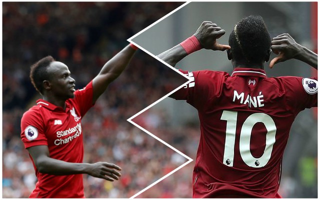 Mane