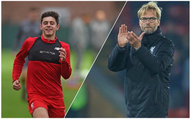 Lewis-Klopp