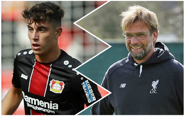 Havertz-Klopp