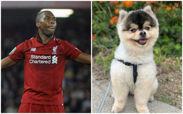 Sturridge