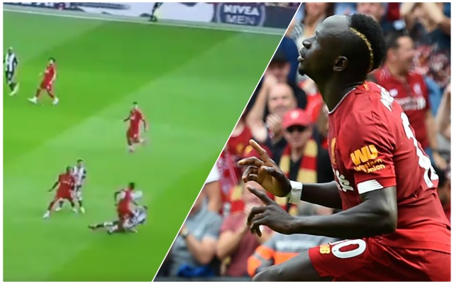 Mane