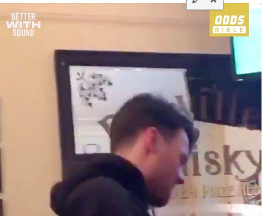 Spurs fan