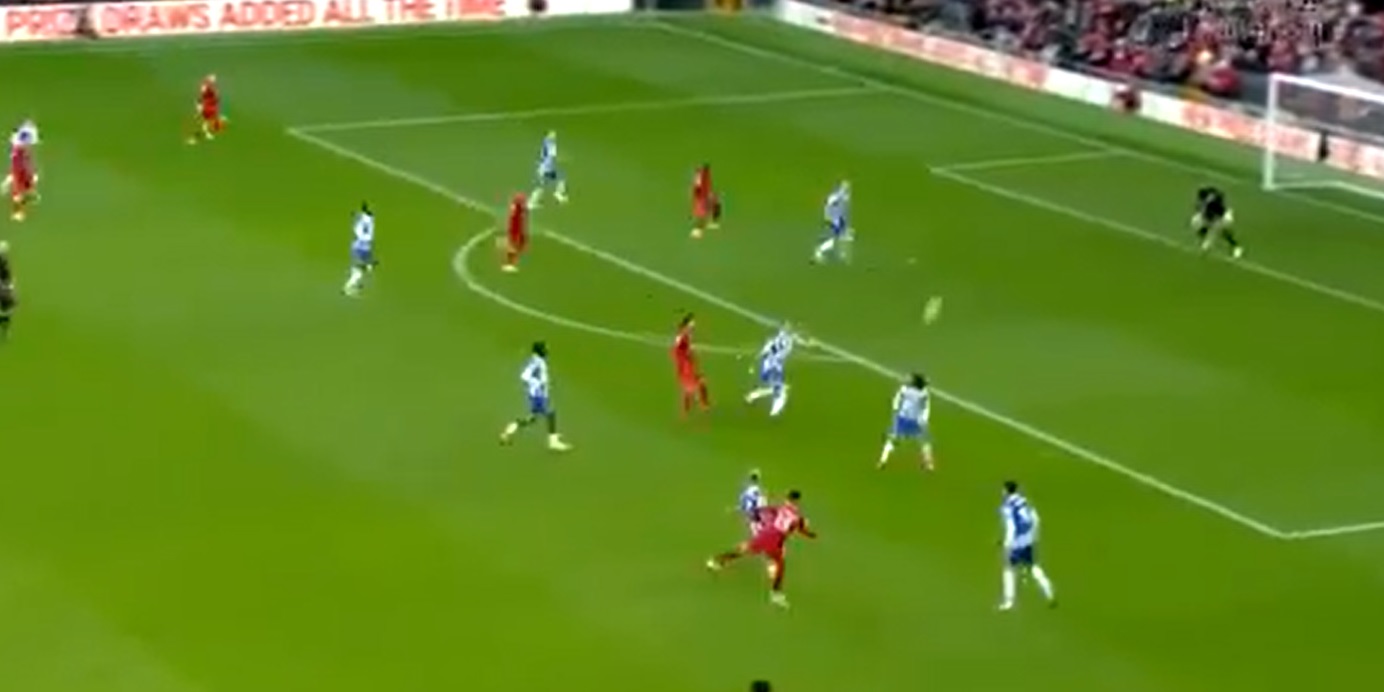 Mane, Oxlade-Chamberlain