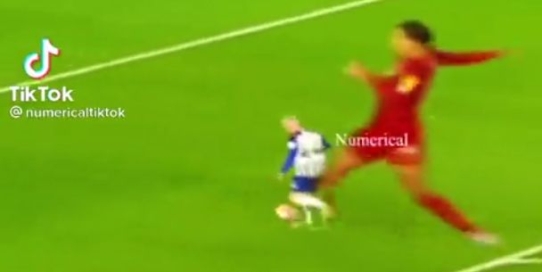 van Dijk
