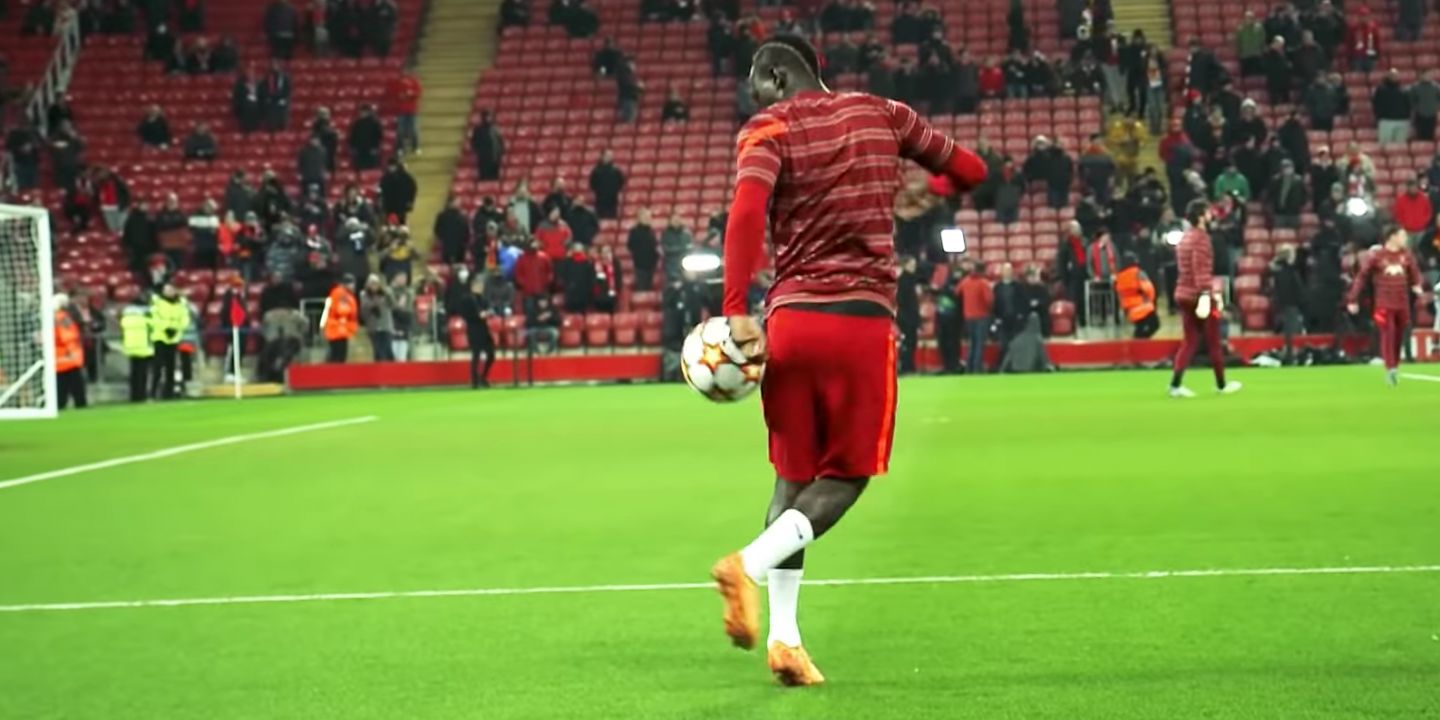 Mane