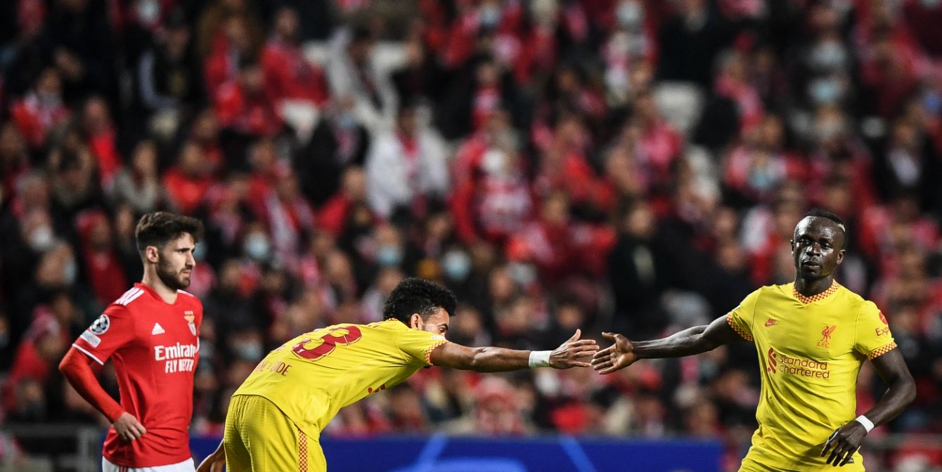 Mane, Diaz