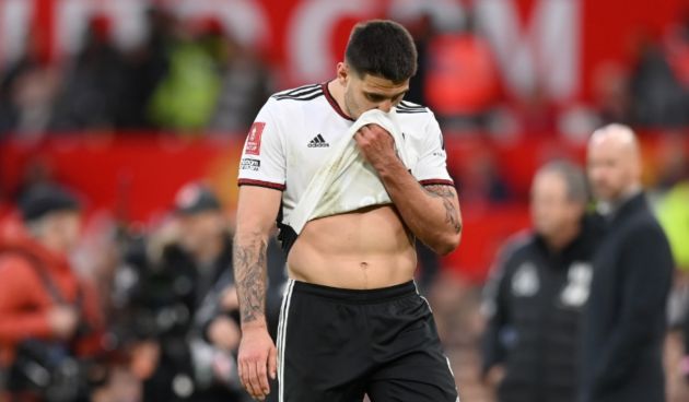 mitrovic-liverpool-fulham