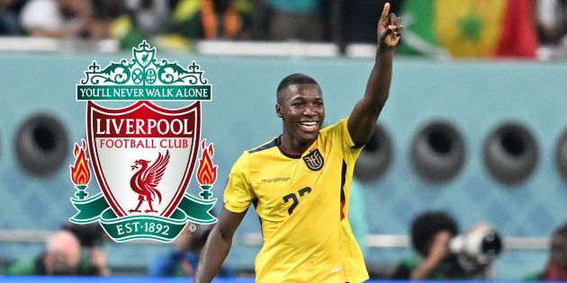 Liverpool, Caicedo, Reddy, Brighton