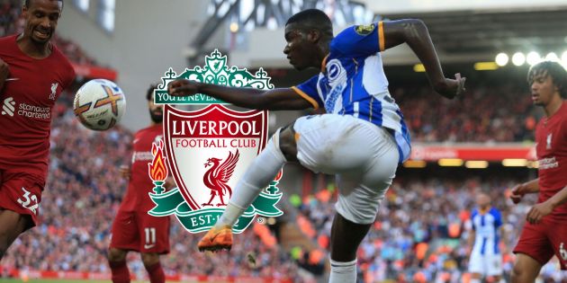 Caicedo, Romano, Liverpool
