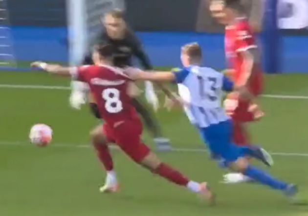 gross-foul-szobo
