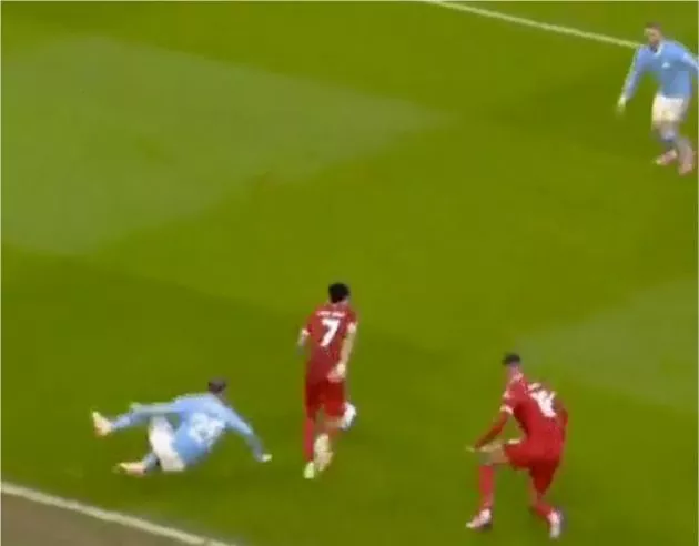 bernardo-silva-luis-diaz
