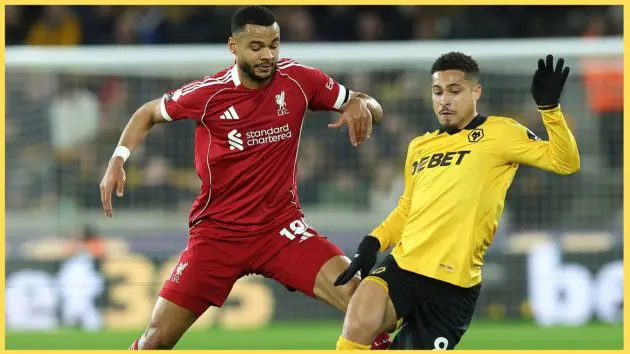 Liverpool transfer target Joao Gomes in action against Cody Gakpo